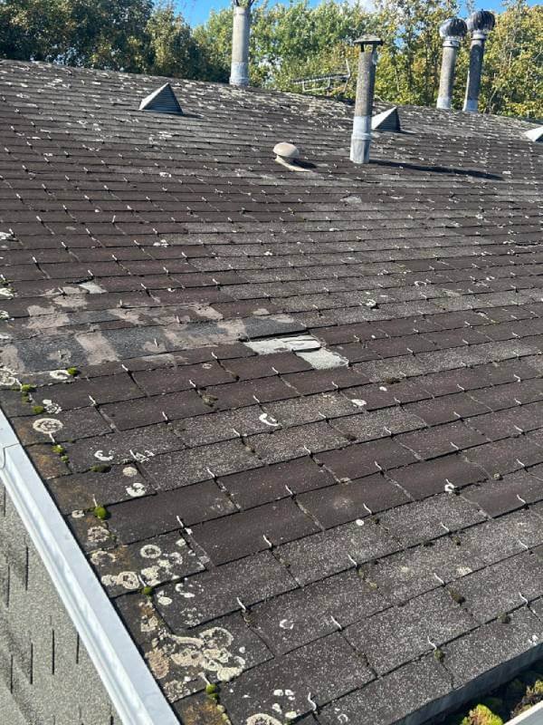 toiture shingle à renover