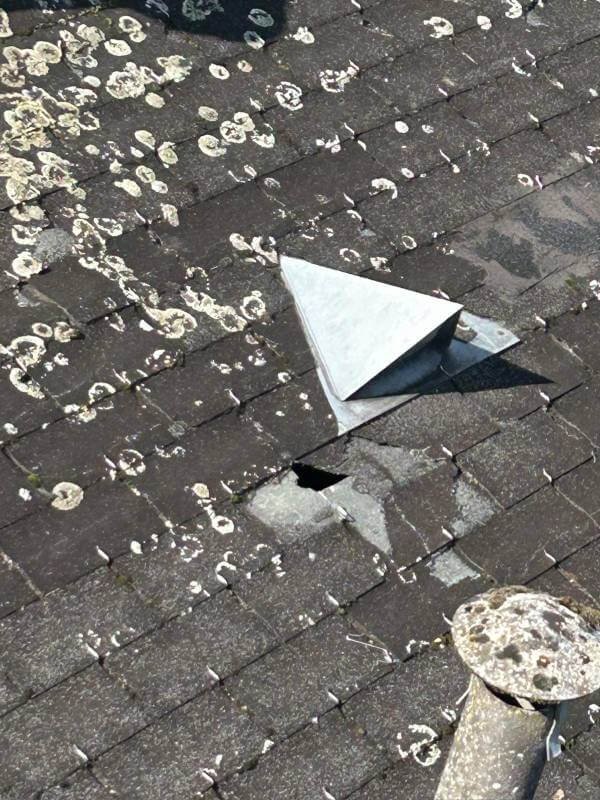 nombreuses taches sur toiture shingle à renover